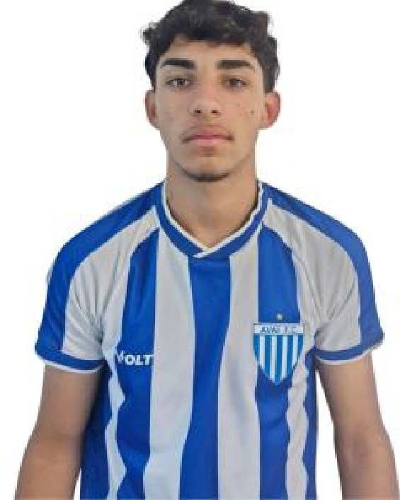 player img