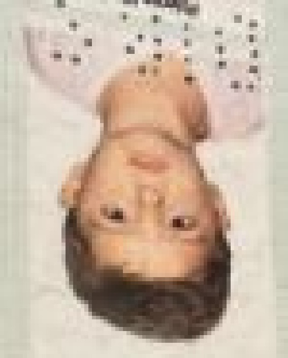 player img
