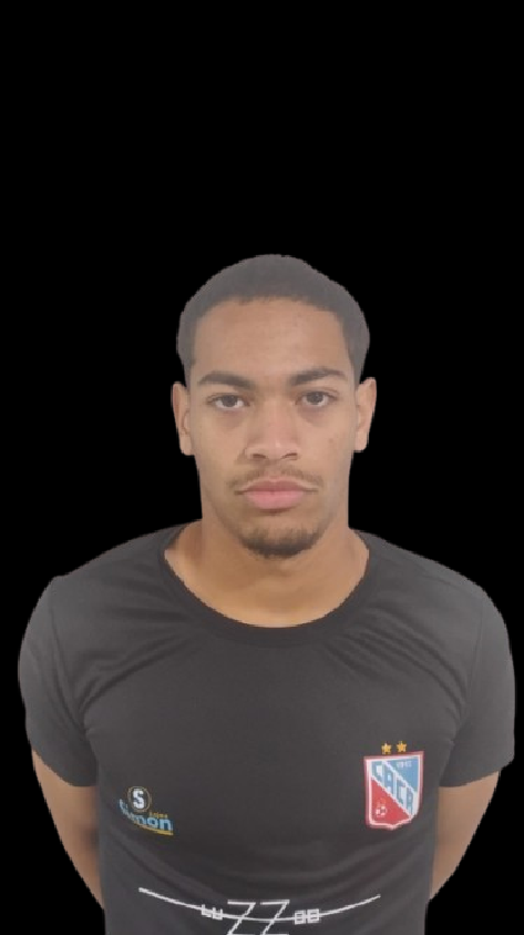 player img