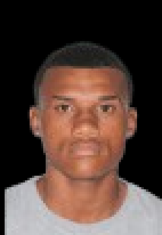 player img