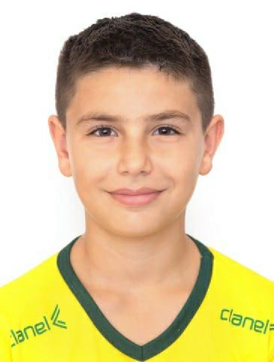 player img