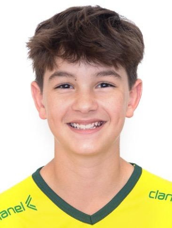 player img