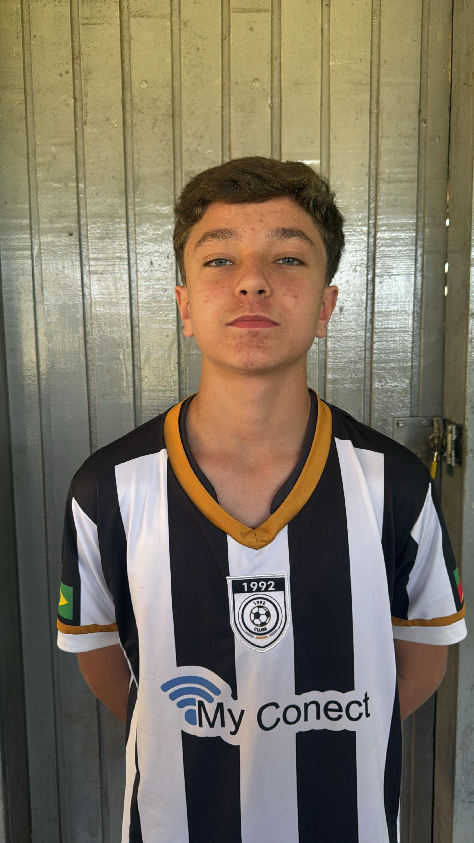 player img