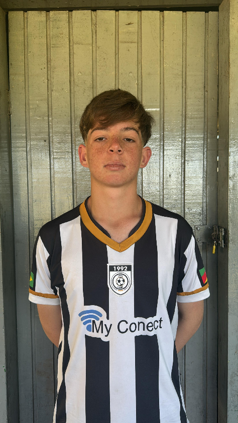 player img