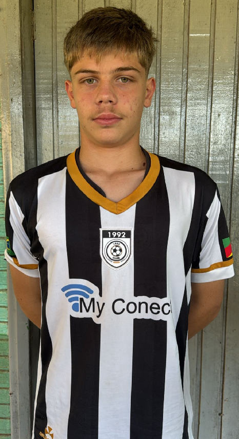 player img