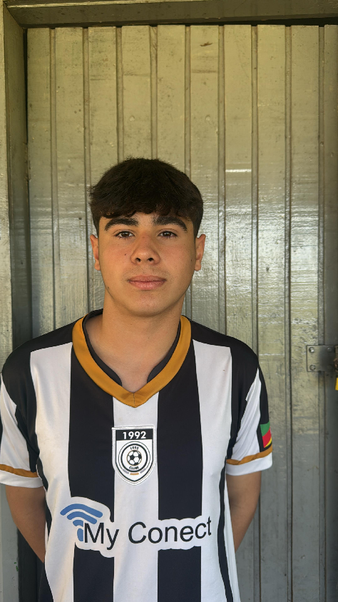 player img