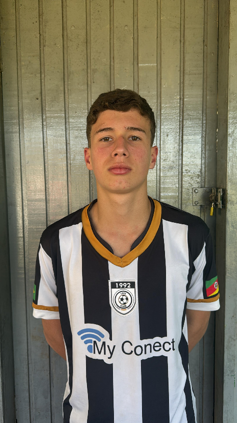 player img