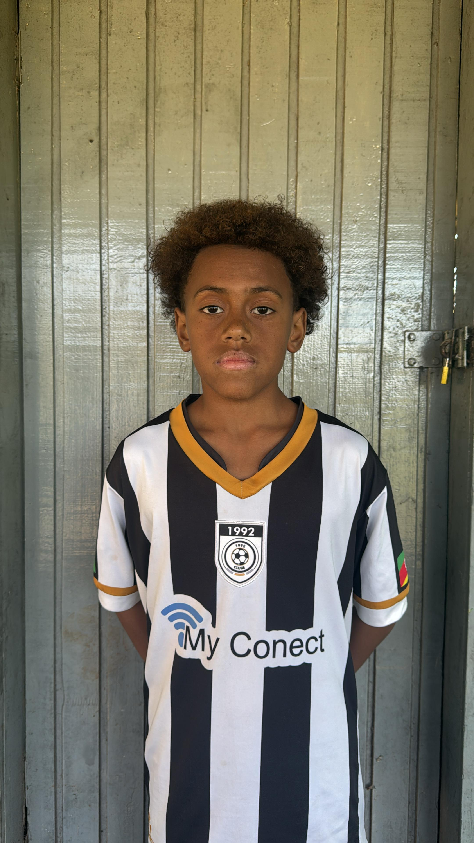 player img