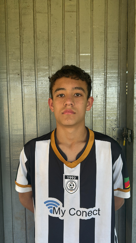 player img