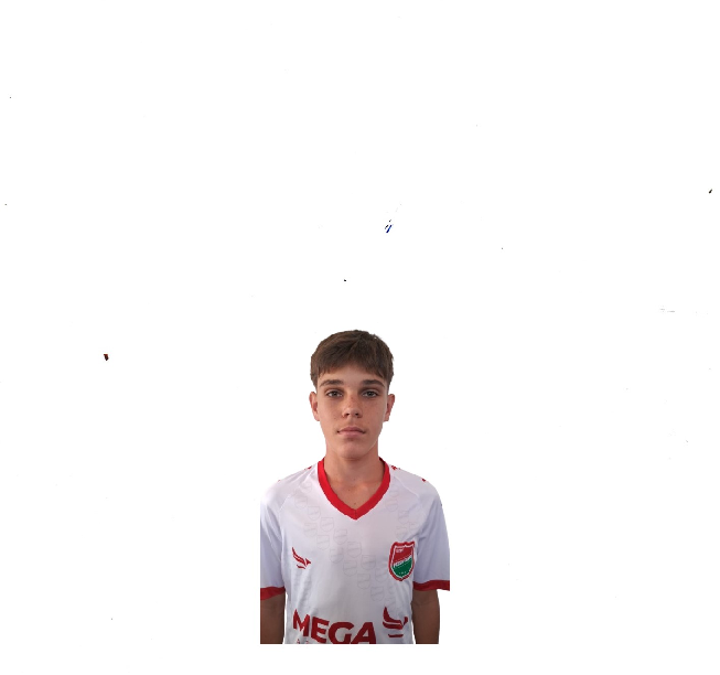 player img