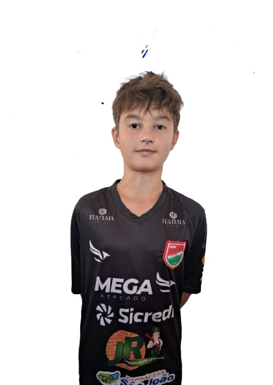 player img