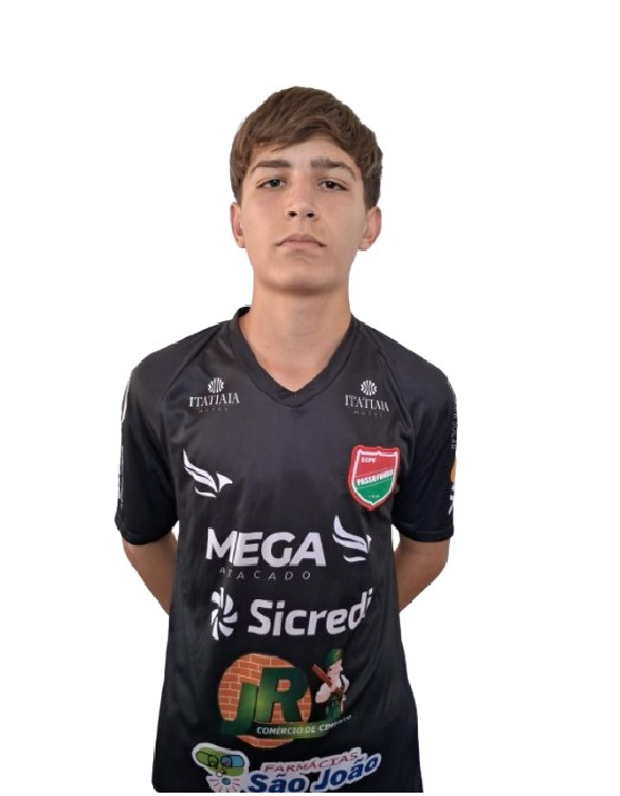 player img