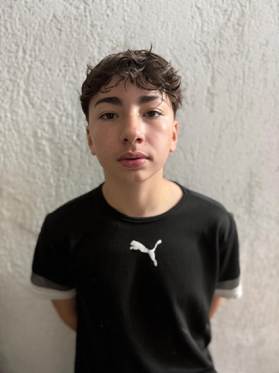 player img