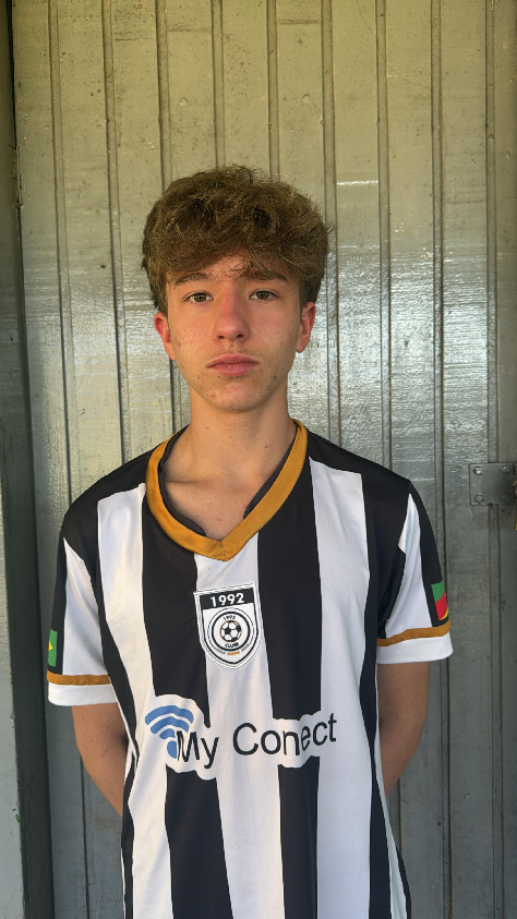 player img