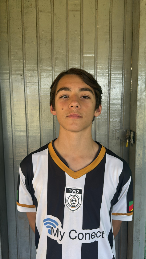 player img