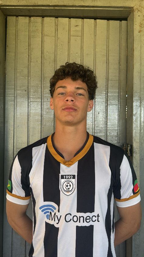 player img