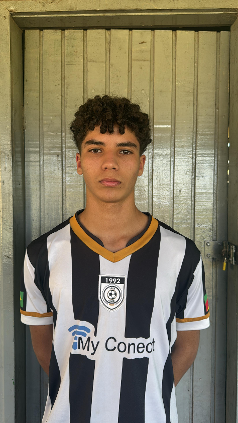 player img