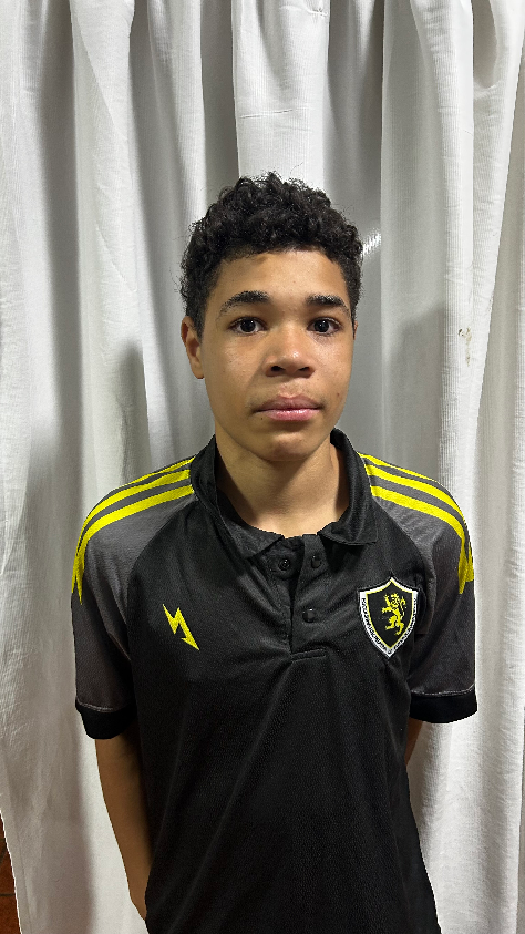 player img