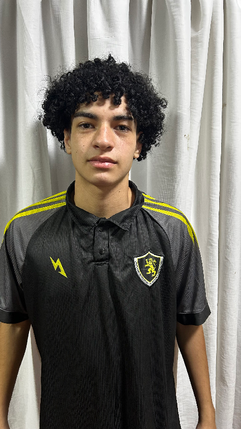 player img