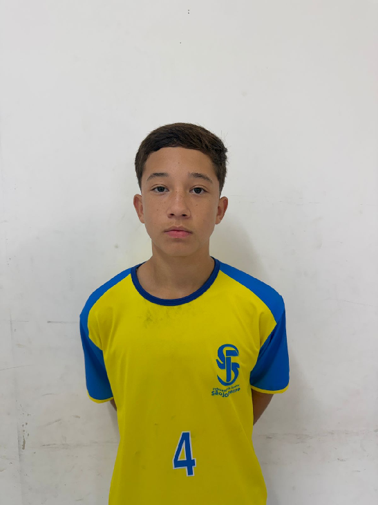 player img