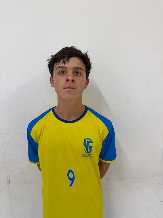 player img