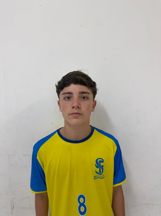 player img