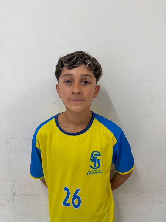 player img