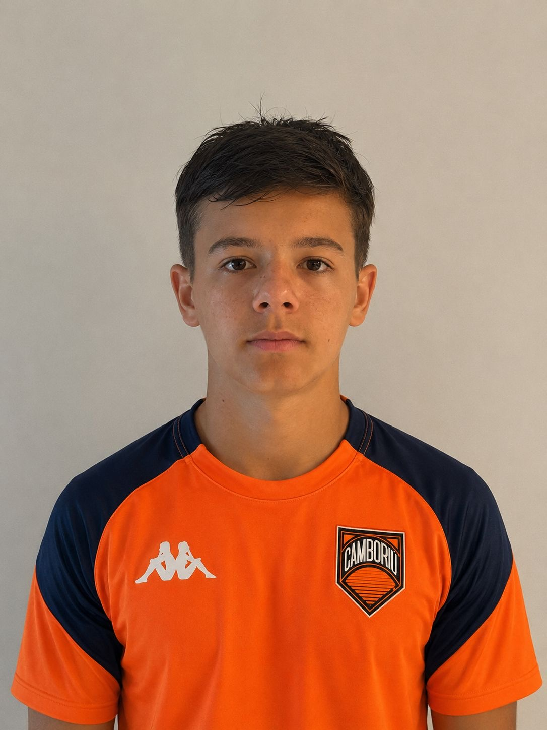 player img