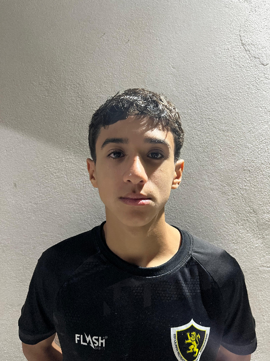 player img