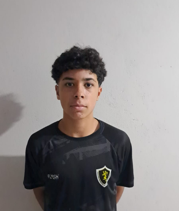 player img