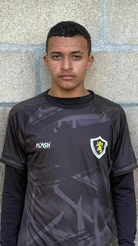 player img