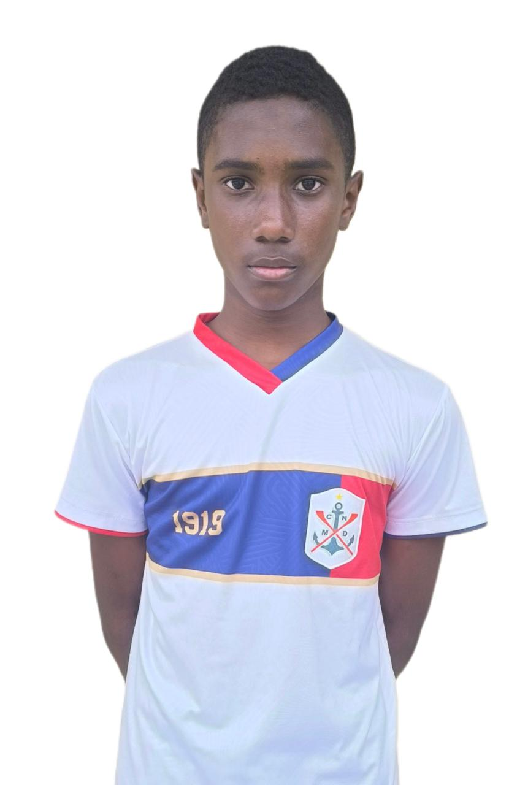 player img