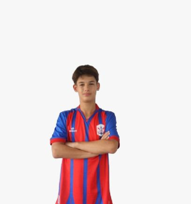 player img