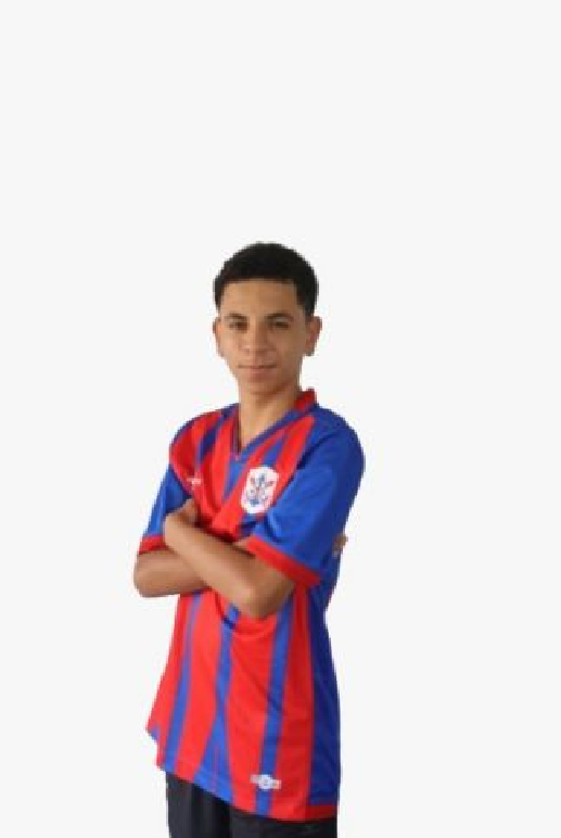 player img
