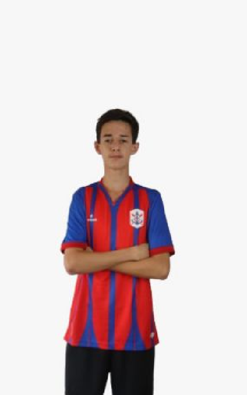player img