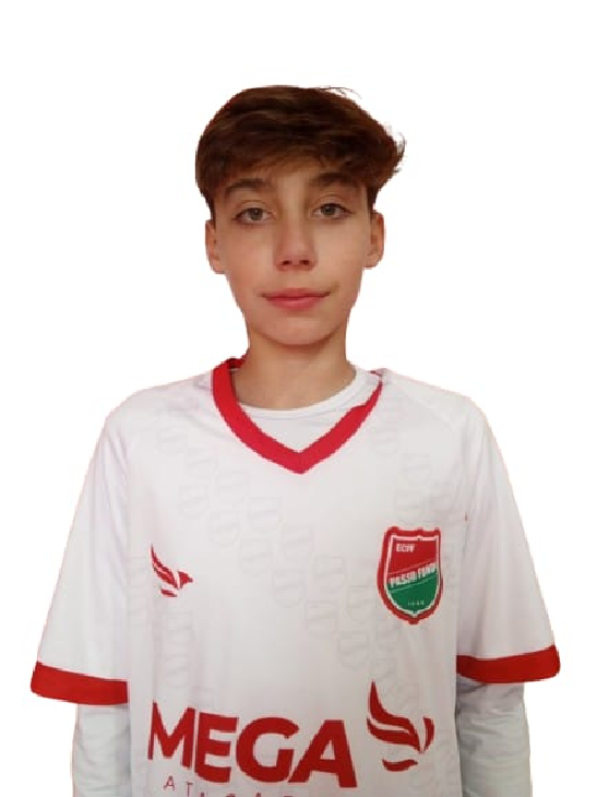 player img
