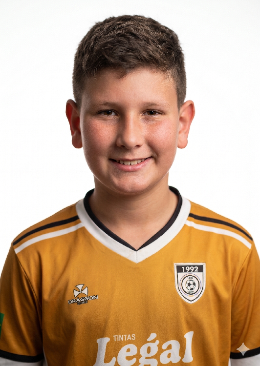 player img