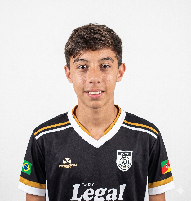 player img