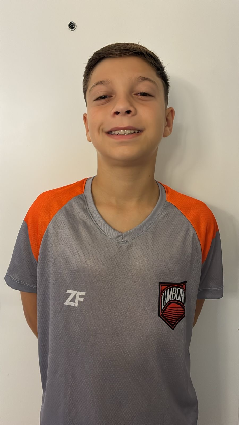 player img