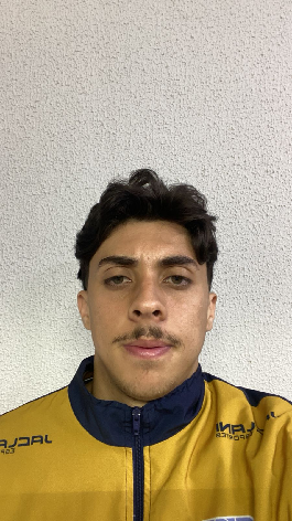 player img