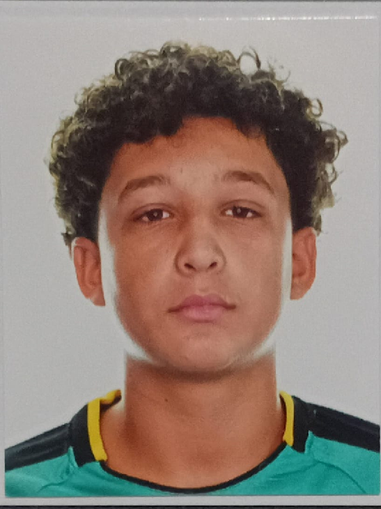 player img