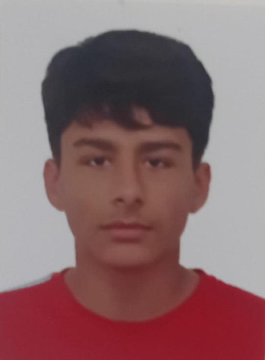 player img