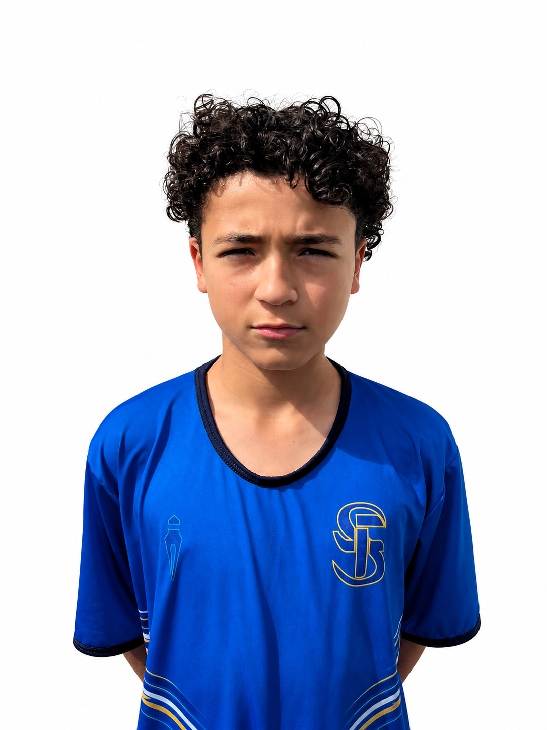 player img
