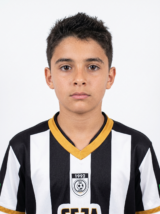 player img
