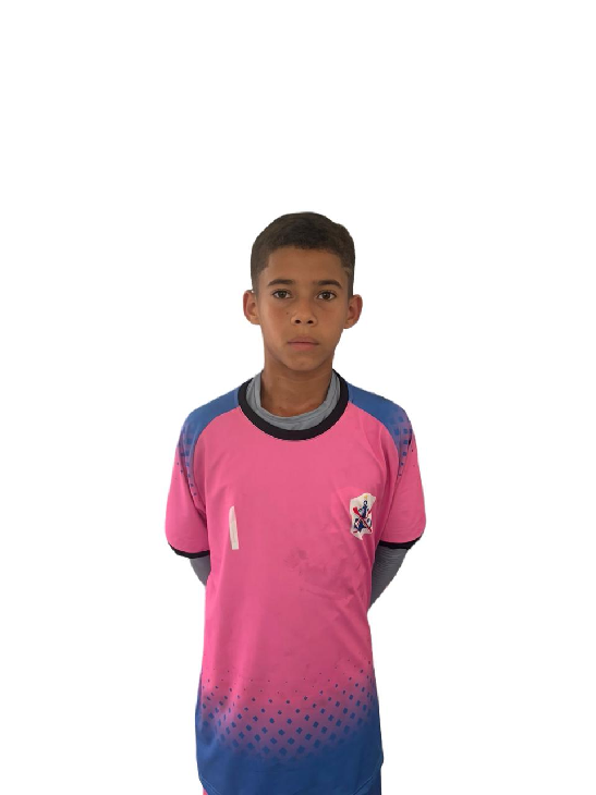 player img
