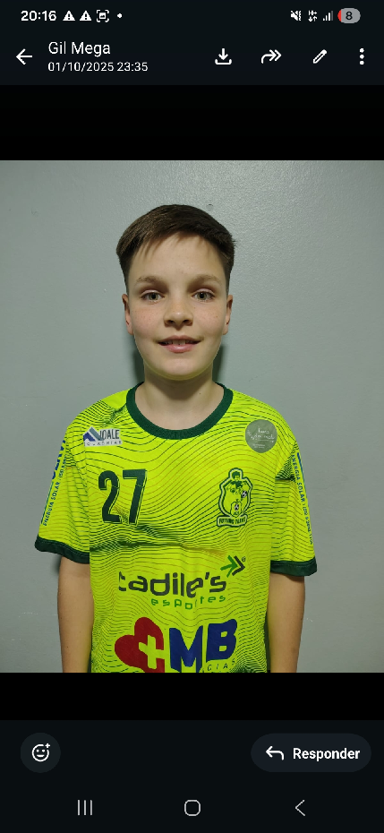 player img