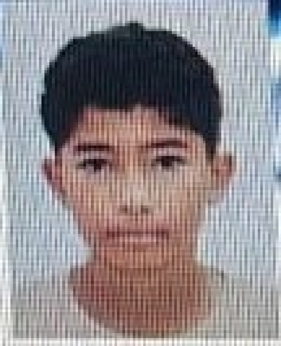 player img