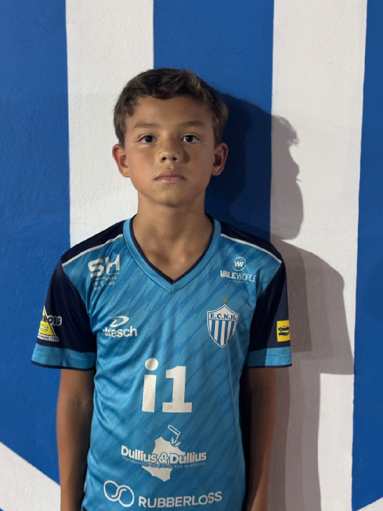 player img