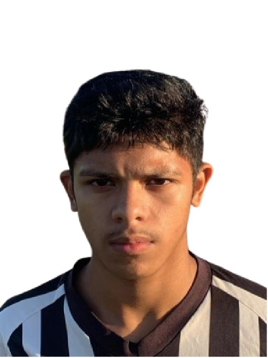 player img