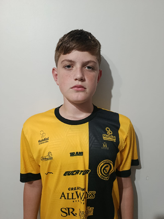 player img